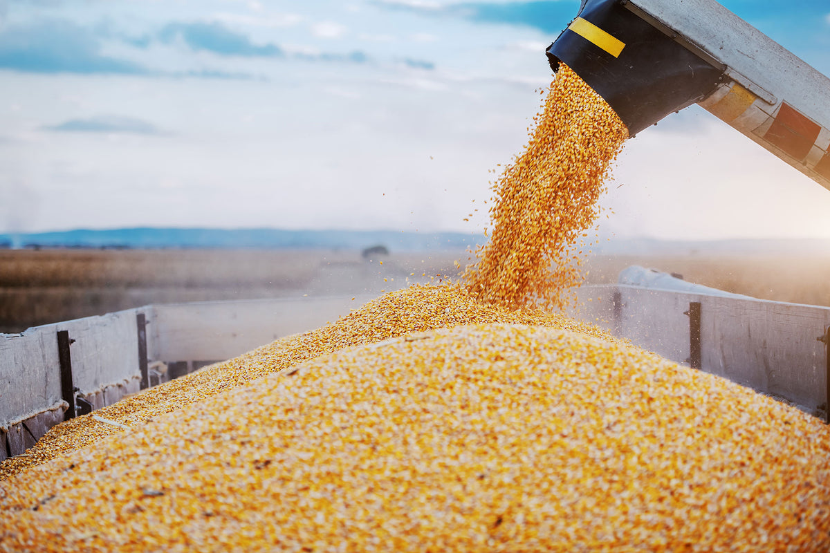 Material Handling – Express Feed & Grain Parts